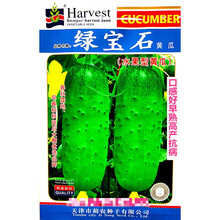蓟农绿宝石水果黄瓜种子口感好早熟高产抗病农家春秋播种精选瓜种 蓟农绿宝石原装10克x5袋