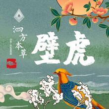 中药饮片  精品天龙  1g中药饮片在线抓药中药抓中药拍方抓药  天龙 壁虎