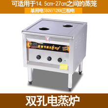 蒸包炉商用燃气肠粉机馒头蒸炉电热节能平底多功能蒸包子机标努 双孔电热款(380v/12kw) 需要接空开使用