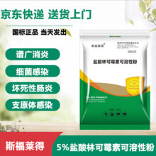 斯福莱得5%盐酸林可霉素兽用兽药可溶性粉高烧咳嗽喘肠炎低烧猪鸡鸭支原体呼吸道禽药 100g*5袋