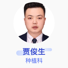 贾俊生 种植科 住院医师 玉齿源口腔诊所