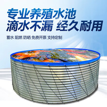 高密度养殖池圆形帆布户外室内大型养鱼水池刀刮布加厚蓄水池 定做直径x高度带支架900克刀刮布灰色 20x1.2m