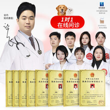 宠物医生24小时在线咨询狗狗猫咪兽医线上问诊看病网络药店宠物医院诊所 执业兽医师