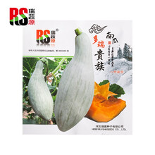超市	
瑞蔬源 第一代杂交贵族南瓜种子5克 板栗南瓜种子香甜粉糯早熟甜栗大田四季蔬菜种子菜种子蔬菜种子贵族南瓜