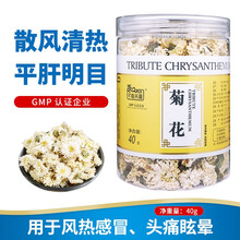 千海兴龙 菊花茶 花草茶40g罐装 杭菊 杭白菊散风清热平肝明目 40g/2罐