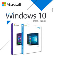 微软正版系统windows10家庭中文版/win10专业版/WIN10企业版/win10正版系统U盘 不含税 Win10专业版 实物版