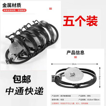 老鼠夹捕鼠器强力铁质家用圆形老鼠笼捉抓老鼠夹子神器大号5个装 10厘米【5只】