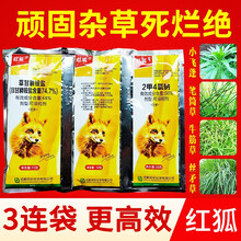 红狐 除草剂烂根剂草甘膦铵盐除水花生笔筒草杂树小灌木芦苇渝锄店3连袋组合 红狐（除顽固杂草）*50套