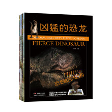 恐龙秘密大百科（套装全4册）