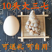 云南文山三七产地直销8头 10头田七全干超大三七个 10个1斤 12头大三七