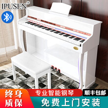 ipusen电钢琴88键重锤初学者入门成人家用儿童智能数码钢琴学生幼师专业立式考级教学用琴 演奏级-PN19S重锤键-烤漆白【高柜跟灯弹多功能