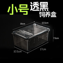 爬虫爬宠饲养盒箱子高透明亚克力缸柜一体树栖角蛙乌龟蜥蜴饲养盒 2个黑色小号盒