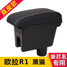 21款长城欧拉R1扶手箱欧拉黑猫中央手扶箱中控内饰改装配件储物盒电动车20 19 一体双层USB【黑色白线】真皮款 欧拉R1/欧拉黑猫