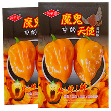 魔鬼黄辣椒种子天使超辣特辣春季四季阳台盆栽蔬菜种孑高产菜种籽 魔鬼黄辣椒100粒原装