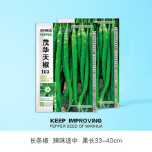 中科茂华蔬菜种子中科椒迈天椒103辣椒种子长线椒种子条长40厘米抗病高产条椒二荆条辣味浓连续采摘强 天椒103 100粒.袋【深绿色40厘米】
