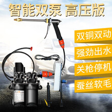 乐佳 高压水枪洗车机 车载洗车器12v双泵便携式水泵 220v家用冲刷洗车神器清洗机工具 标配-双泵长水枪+通水软毛刷