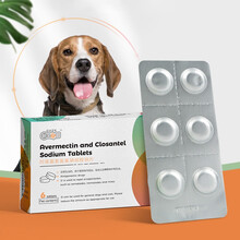 新宠之康 宠物内外同驱药片 阿维菌素氯氰碘柳胺钠片6片/盒 狗狗猫咪体内外驱虫打虫 抗寄生虫药猫狗通用
