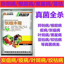 炭疽病猝倒病根腐疫病水稻纹枯病蔬菜果树长枝木霉叶斑蔓枯黑星病 30克x10袋
