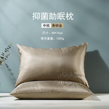 夏季枕头 枕芯一对不塌陷不变形家用酒店双人整头冰丝枕头芯带枕套 香槟金中枕一对