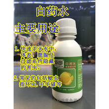 乐彩鱼药七彩神仙内外寄鱼药洁肤爽检疫伴侣肠道清毒散线虫灵 乐彩白药水