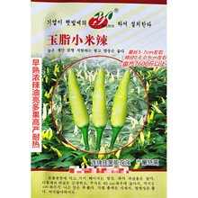 皖北阳光玉脂小米辣辣椒种子早熟浓辣油亮多果高产耐热农家春秋播 玉脂小米辣原装5克x2袋