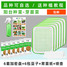 朵咔园艺 水培蔬菜豆芽菜发芽盆芽苗菜育苗托盘无土栽培设备豆苗种植芽菜小麦种菜盆 【基础款】6加密盘+6包种子+育苗纸+喷壶