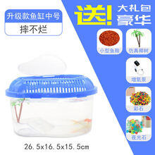 塑料鱼缸透明仿玻璃小型鱼盒家用小金鱼缸手提带盖防摔桌面儿童小金鱼缸手提带盖防摔桌面儿童客厅养鱼 中号+彩石+夜光石+仿真椰树+小型鱼粮+增氧泵