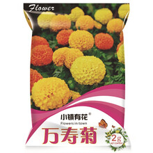 小镇有花 万寿菊种子室外好养易活花开不断盆栽园林景观工程绿化种子花卉种子 万寿菊 橙色 2克 厂商封装