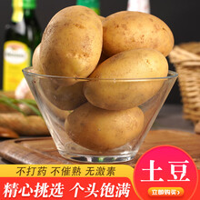 【轻食】绿鲜人家 山东土豆新鲜大马铃薯 黄心小洋芋 新鲜蔬菜 3斤