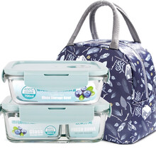  德玛斯 耐热玻璃保鲜盒 高硼硅大容量微波炉烤箱便当盒密封分隔碗饭盒套装 北欧蓝700ml+带隔断880ml+包