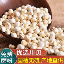 达参堂川贝母四川贝母粉川贝粉非熏硫中药材无熏硫 可做枇杷贝母雪梨汤 可磨川贝粉 川贝母100g