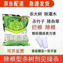 杀竹子 除树剂杀大树杂竹净屠竹子烂根灭灌除草 森泰 环嗪酮 500g*5袋