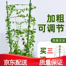 瑾禾 爬藤架花支架园艺支架植物攀爬架铁艺支柱室内外月季铁线莲花架花盆防歪花支撑支架 调节款90cm高(3杆4圈)(圈28cm) 1个