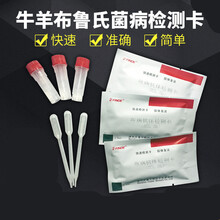 牛布病检测卡 羊布病检测试纸奶牛牛羊布病速测卡快速布病快速诊断卡 布病检测卡 5片装(送5兽用采血针)