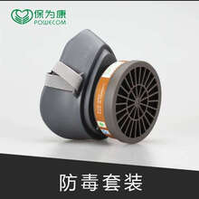 保为康3600可水洗防毒化工硅胶橡胶粉尘过滤棉舒适面罩防甲醛异味臭味活性炭 装修喷漆防毒口罩 3600防毒套装（无滤棉）