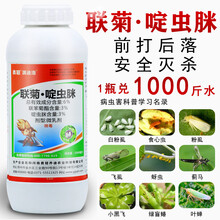 联菊啶虫脒白粉虱蓟马蚜虫专用药灭花盆小黑飞蔬菜果树农药杀虫剂 300ml