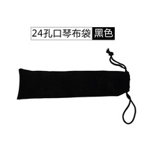 国光口琴24孔复音C调初学者成人学生入门重音专业演奏级乐器 赠品【口琴布袋】勿拍