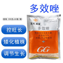 国光真金15%多效唑果树植物花卉多肉矮化剂矮壮素控制生长调节剂 200g1箱（50袋）