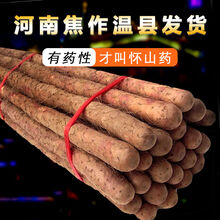 焦作温县铁棍山药正宗怀山药铁杆山药新鲜蔬菜河南特产 粉糯香甜 5斤温县铁棍实惠装30-40