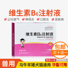 兽用维生素B6注射液猪牛羊犬猫狗狗宠物皮炎神经炎皮炎复平兽药
