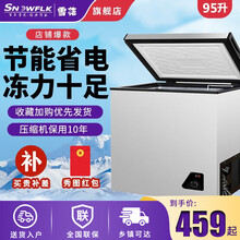 雪花 家用冰柜小型冷柜冷藏冷冻转换冰柜迷你单温卧式保鲜柜节能静音 BD/BC-95KL169银色