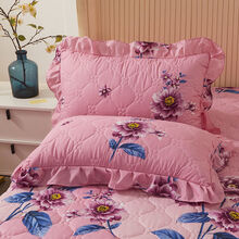 韩版花边加厚夹棉枕套一对装花边枕头套装加棉枕芯套枕头套一对 江南花影 夹棉枕套2只装【不带枕芯】