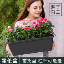 朵咔园艺 长方形花盆种菜箱神器霍伦盆家庭阳台塑料长条型加厚耐用盆栽花槽 大款深灰色霍伦盆1个 含底座