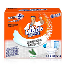 威猛先生（Mr Muscle） 蓝泡泡洁厕灵洁厕宝厕所除臭马桶清洁剂洁厕块百草青香 10粒百草清香