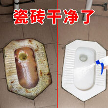 丽能 瓷砖清洁剂强力去污家用草酸清洗地板砖厕所卫生间水泥除垢洁瓷剂 【1瓶】瓷砖清洁剂【深层除垢】