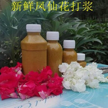 新鲜红色凤仙花指甲花鲜花瓣白色凤仙花瓣z2 白色270毫升打浆