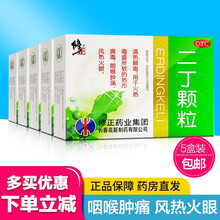 修正 二丁颗粒 20克*10袋 清热解毒 咽喉肿痛 疖子毒疮 风热 火眼 红眼 【5盒装】