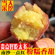 （现挖现发）广州南沙一点红番薯 紫皮黄心板栗红薯现货现发粉糯甜 5斤