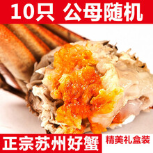 活鲜【冷链运输】大闸蟹鲜活 螃蟹特大公母 现货海鲜镇8 /16只礼盒装 欧登城娜 【公母2.5-2.0两】10只