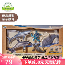 Wenno 仿真动物模型儿童恐龙玩具套装3-6岁男女孩早教认知野生海洋动物摆件软胶老虎狮子生日礼物 6个大西洋动物礼盒B